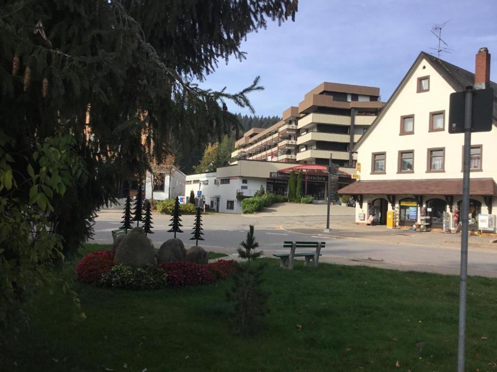 Apartment 365 Mit Sauna, Schwimmbad Und Fitness Schönwald Bagian luar foto